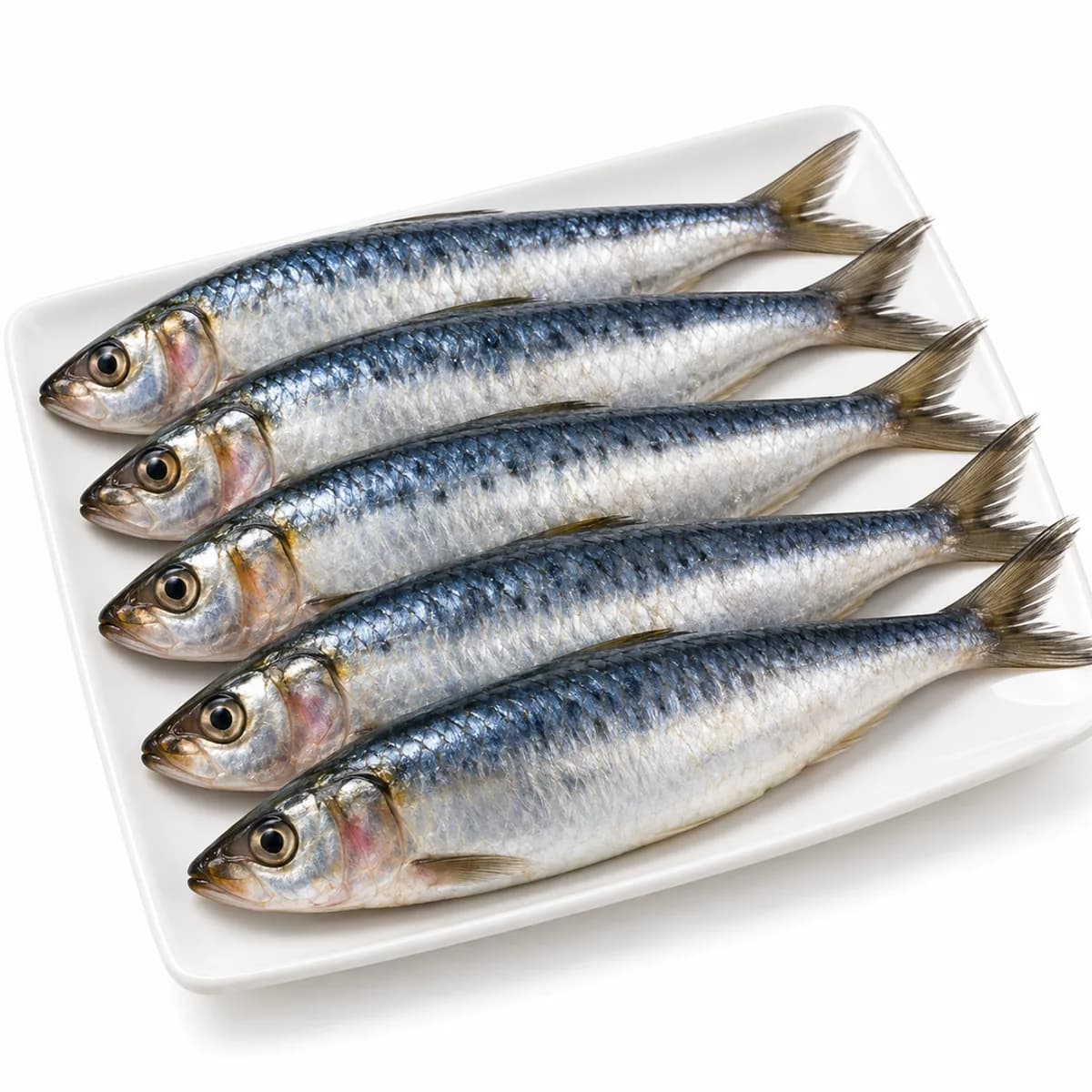 Sardinha inteira